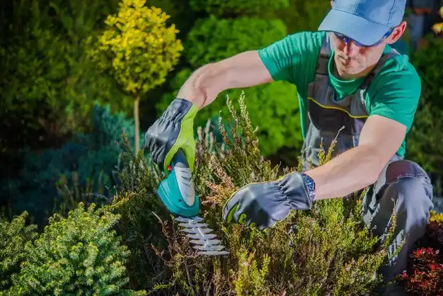 landscaping services Calumet